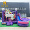 Túi bạt thổi điện Little Pony Inflatable Bouncer Slide Combo Castle
